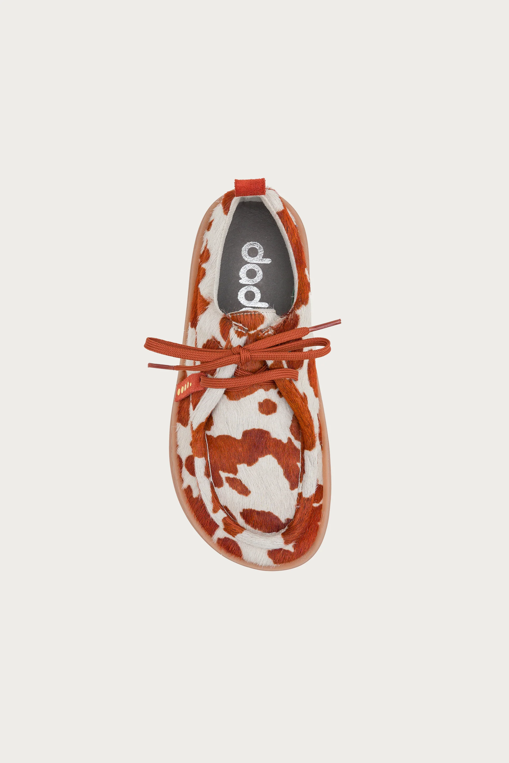 ARENI COW CARAMEL - Image 4